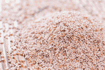 vezel supplement psyllium veelzijdig